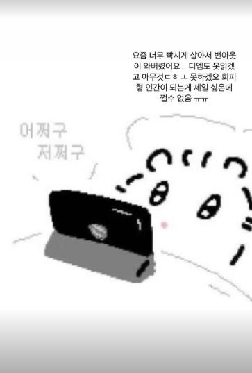 /사진=최준희