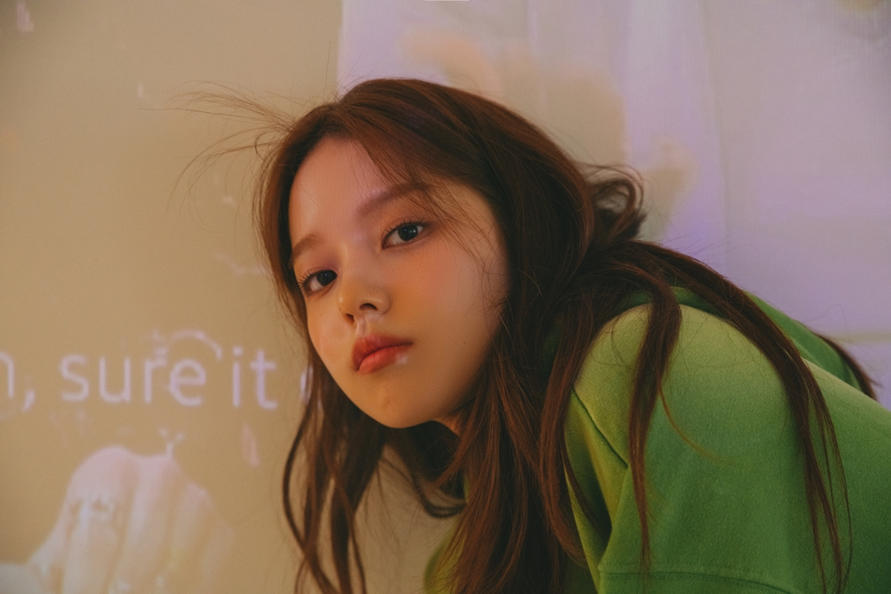 /사진=도로시컴퍼니