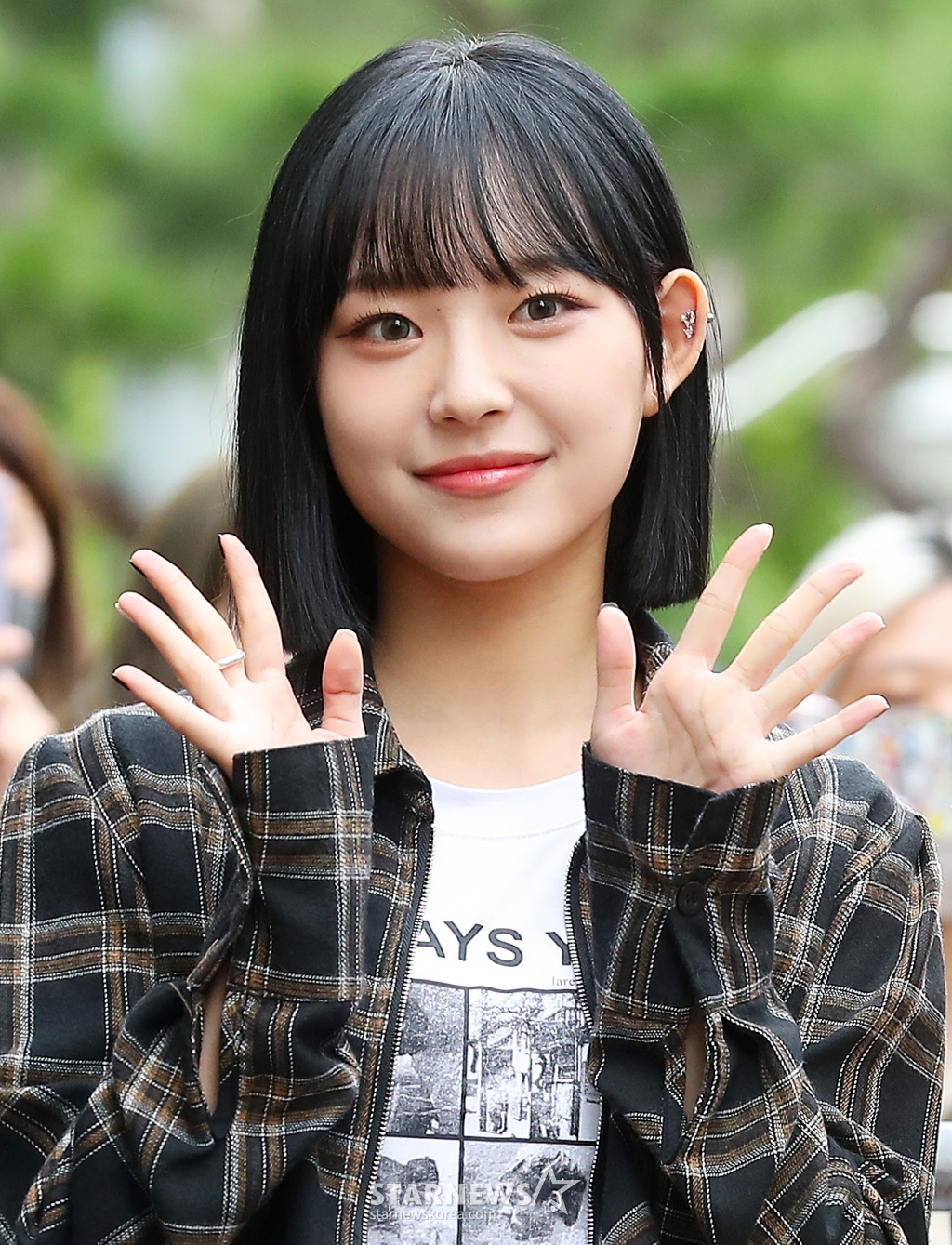 사진