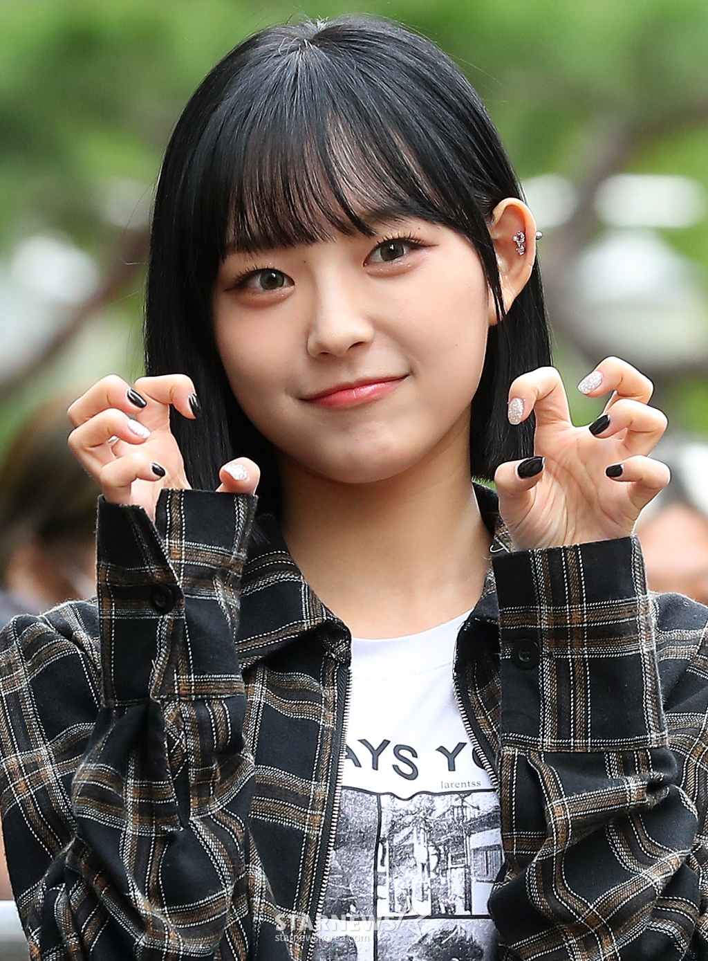 사진
