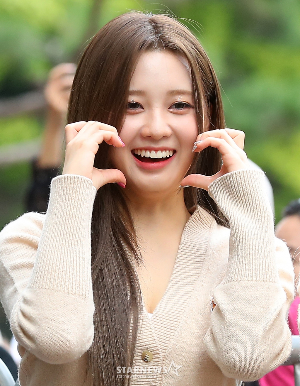 사진