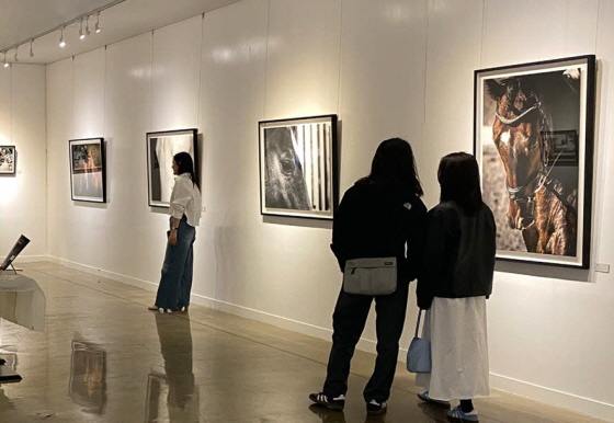 /사진제공=한국마사회