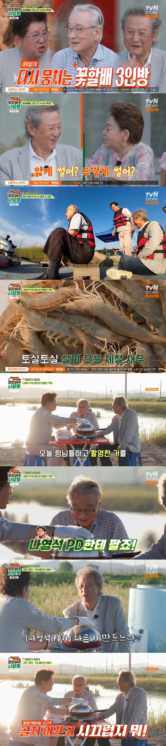 tvN STORY '회장님네 사람들'의 이순재, 박근형, 김용건./사진=tvN STORY '회장님네 사람들' 방송 화면 캡처