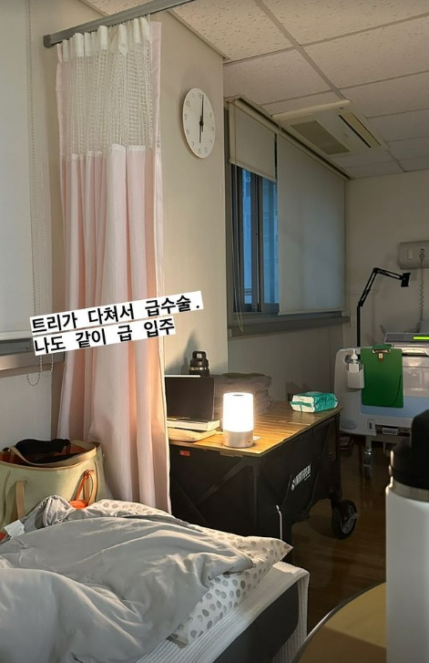 /사진=제이제이