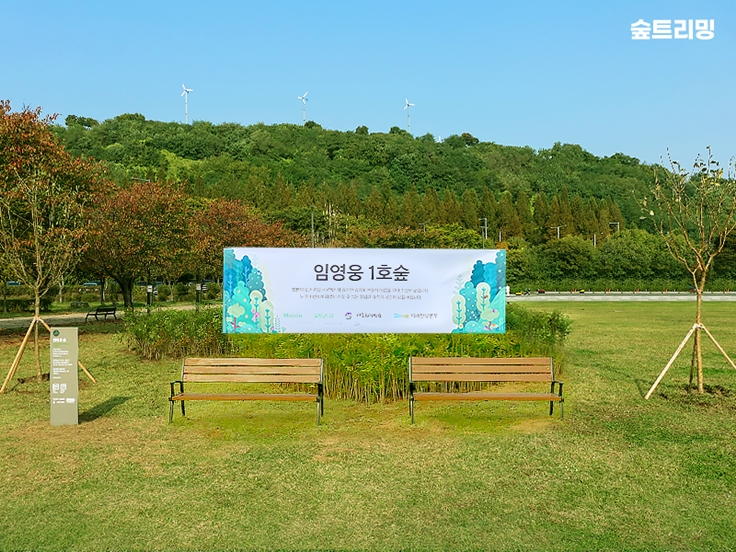 임영웅 숲(사진=멜론 매거진)