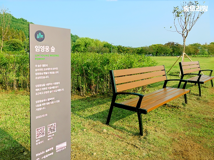 임영웅 숲(사진=멜론 매거진)