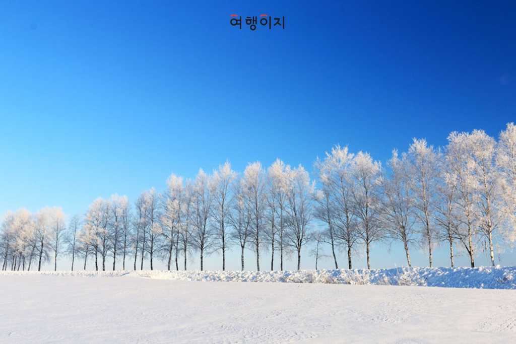 /사진제공=교원투어