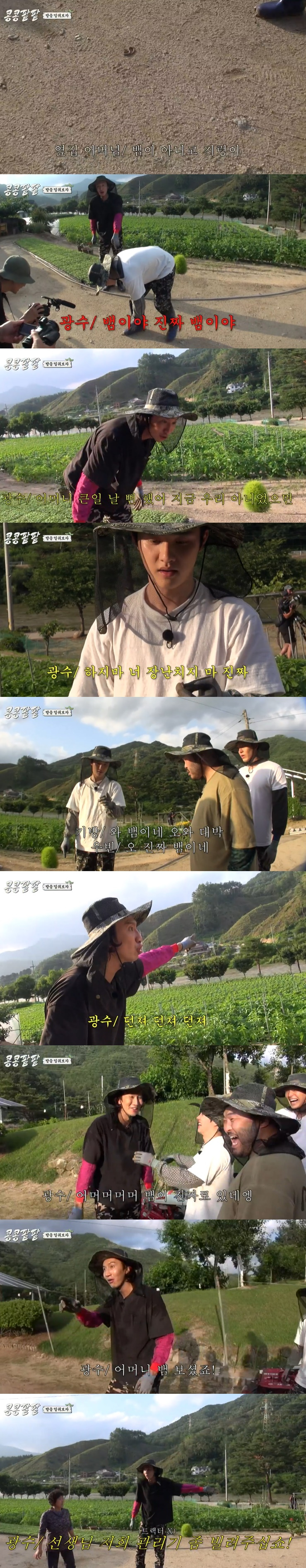 /사진=티빙 '콩 심은 데 콩 나고 팥 심은 데 팥 난다' 영상 캡처