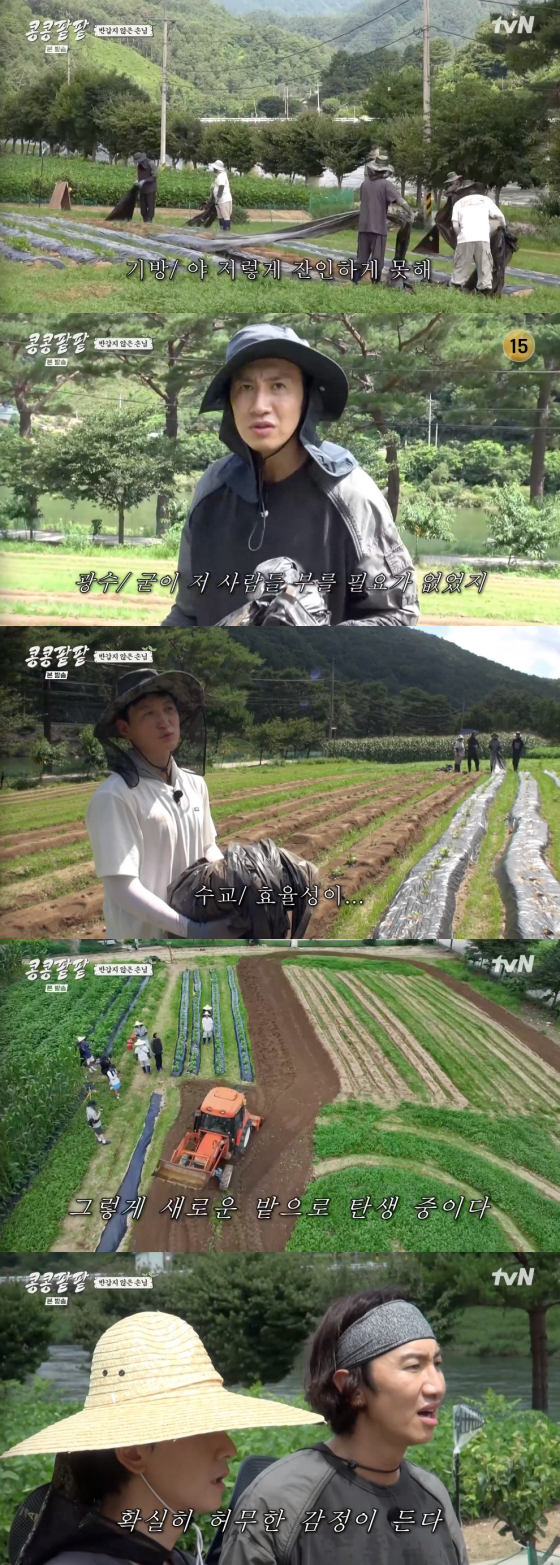 /사진=tvN '콩콩팥팥' 방송 화면 캡처