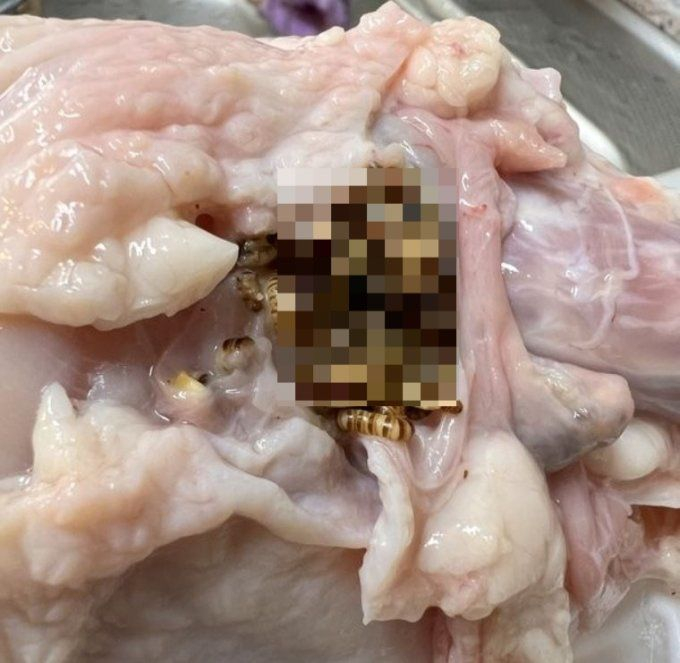 /사진=온라인커뮤니티