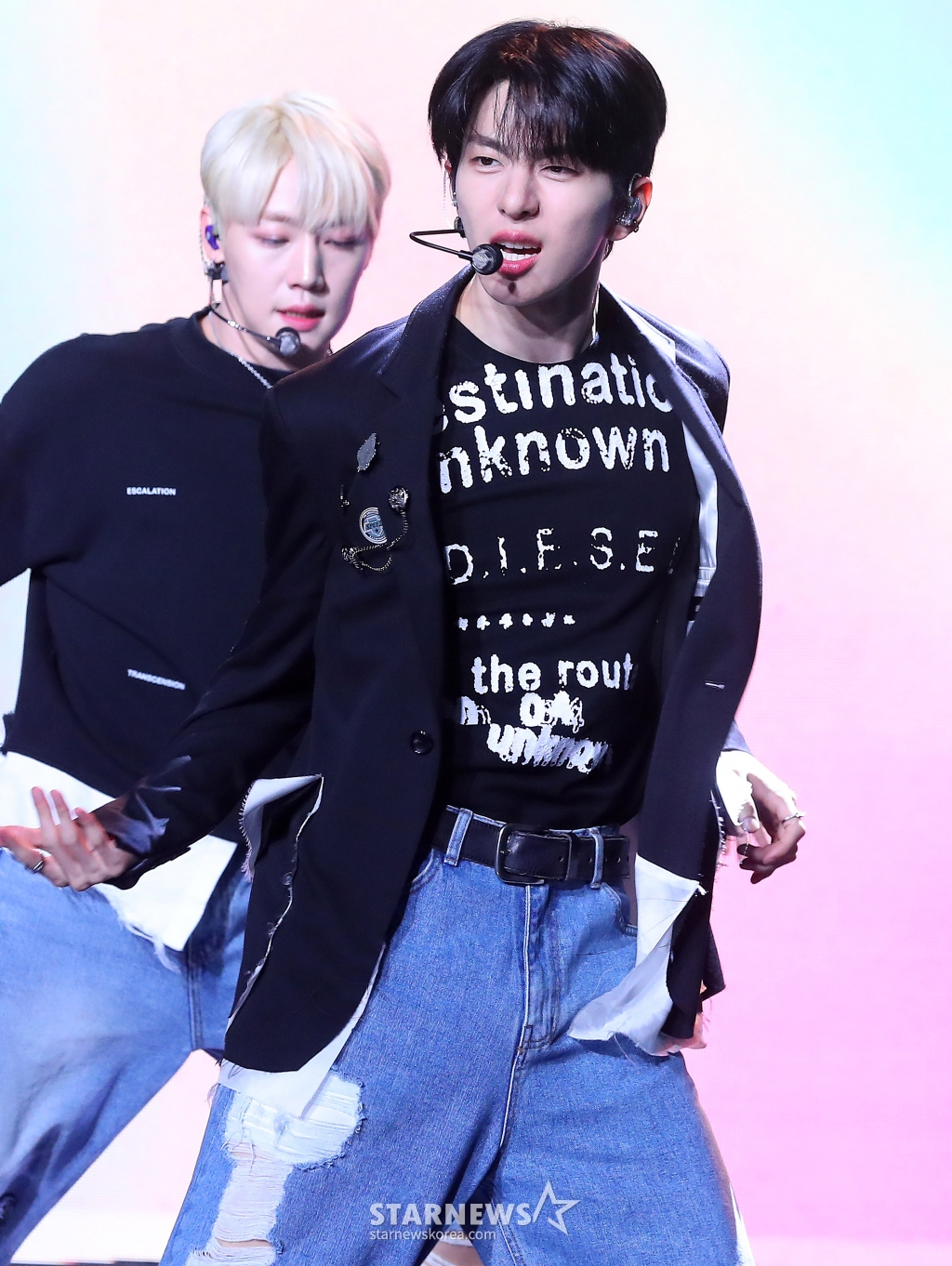 사진