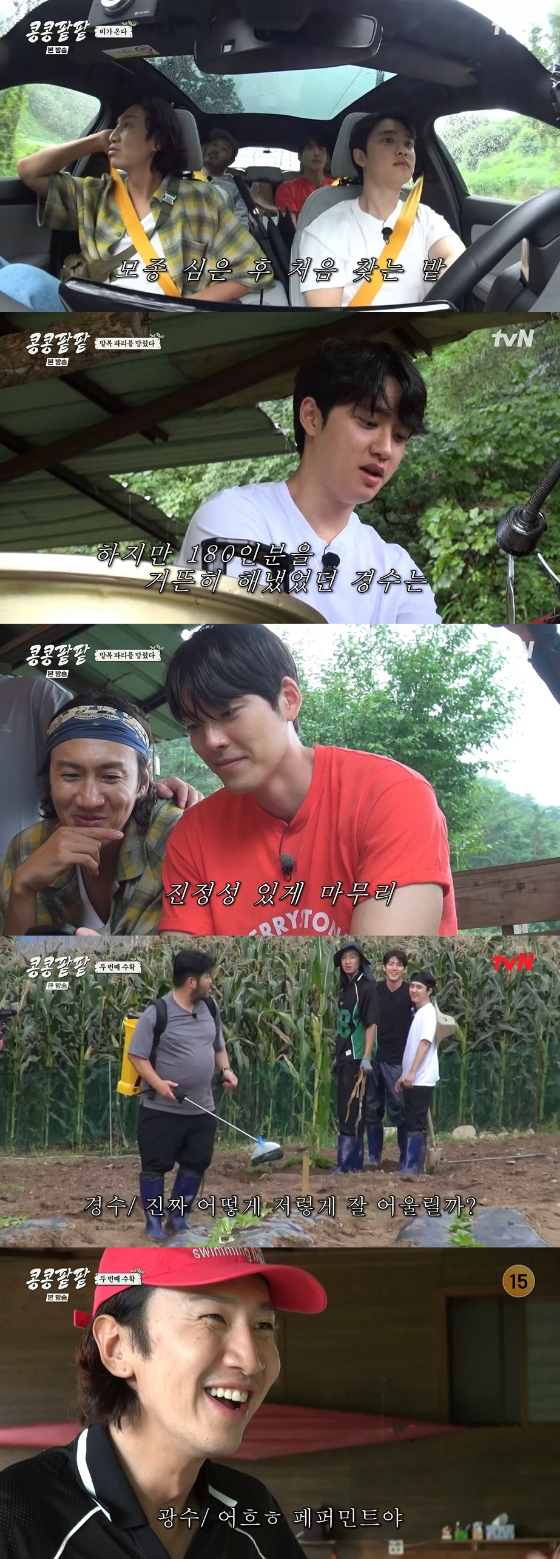 tvN '콩 심은 데 콩 나고 팥 심은 데 팥 난다'./사진=tvN '콩 심은 데 콩 나고 팥 심은 데 팥 난다' 영상 캡처