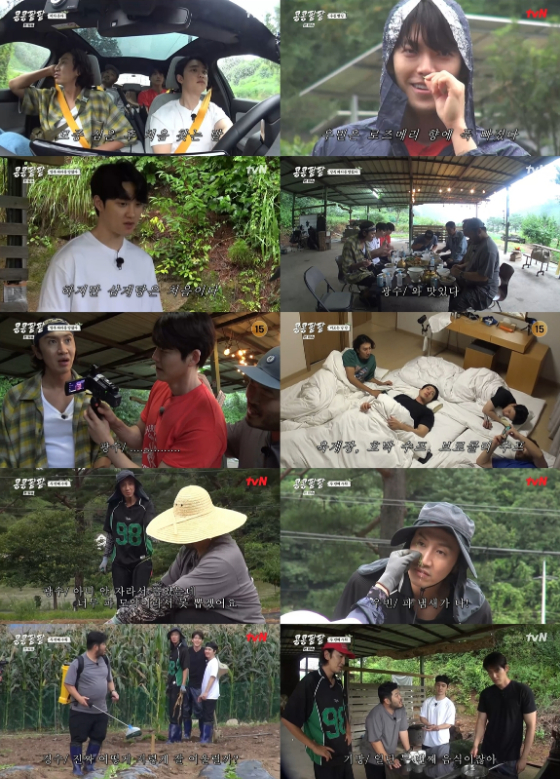 tvN '콩 심은 데 콩 나고 팥 심은 데 팥 난다'./사진=tvN '콩 심은 데 콩 나고 팥 심은 데 팥 난다' 영상 캡처