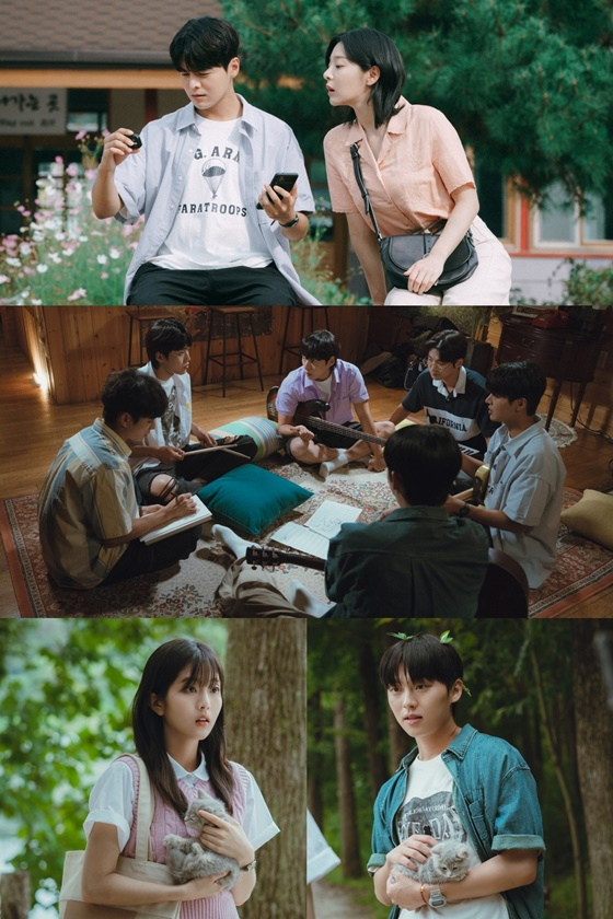 반짝이는 워터멜론/사진=tvN