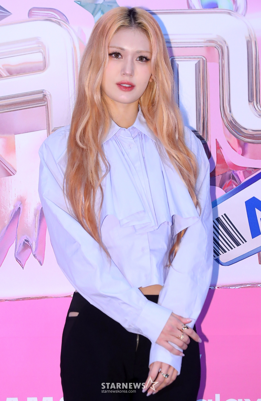 사진