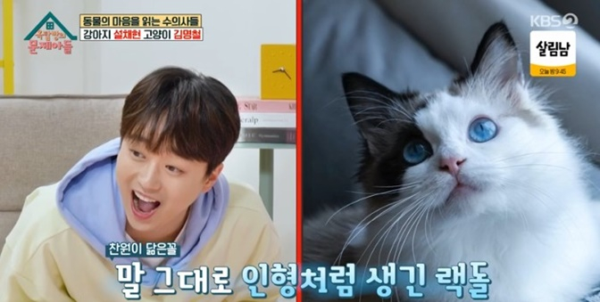 /사진='옥탑방의 문제아들' 화면 캡처