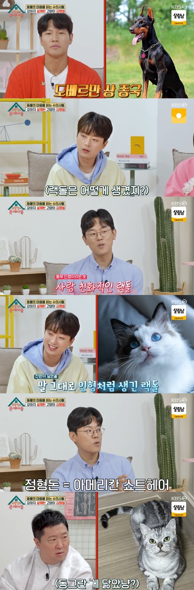 /사진='옥탑방의 문제아들' 화면 캡처