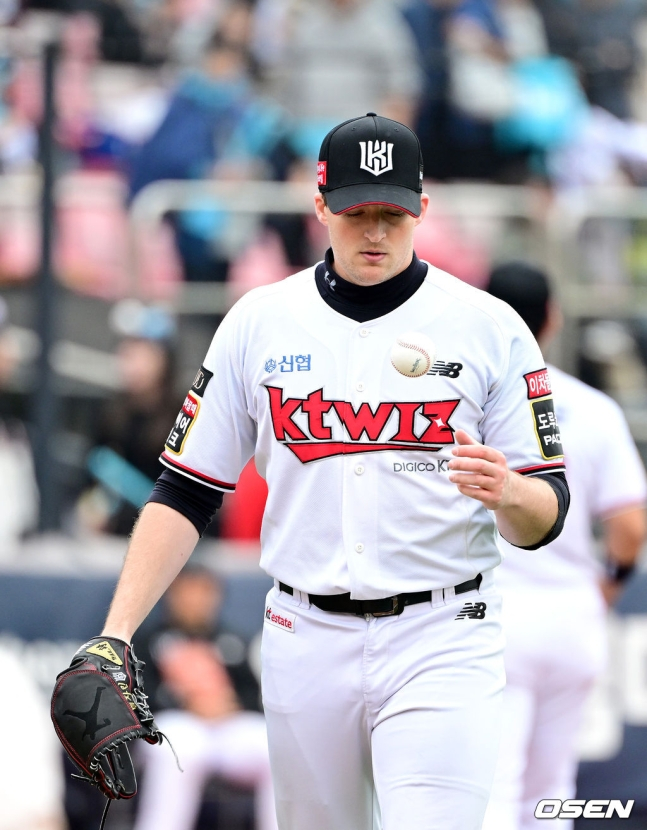 KT 벤자민.