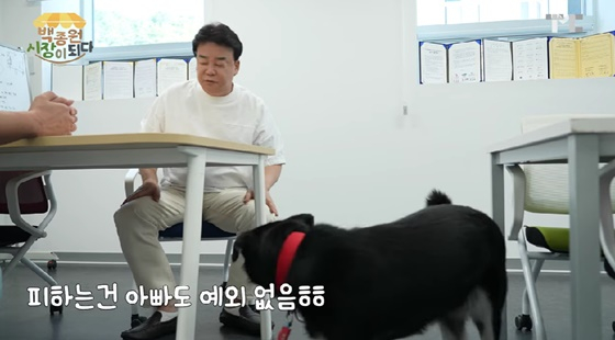 /사진=백종원 유튜브 채널