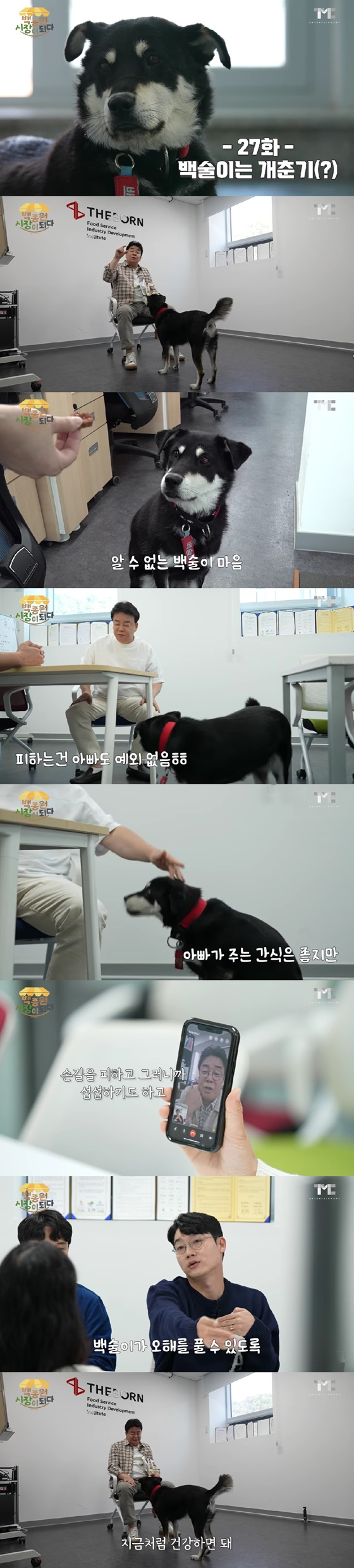 /사진=백종원 유튜브 채널