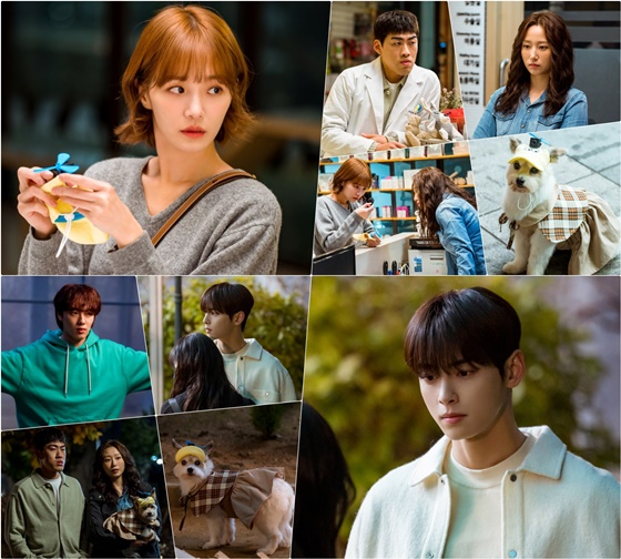 오늘도 사랑스럽개/사진=MBC