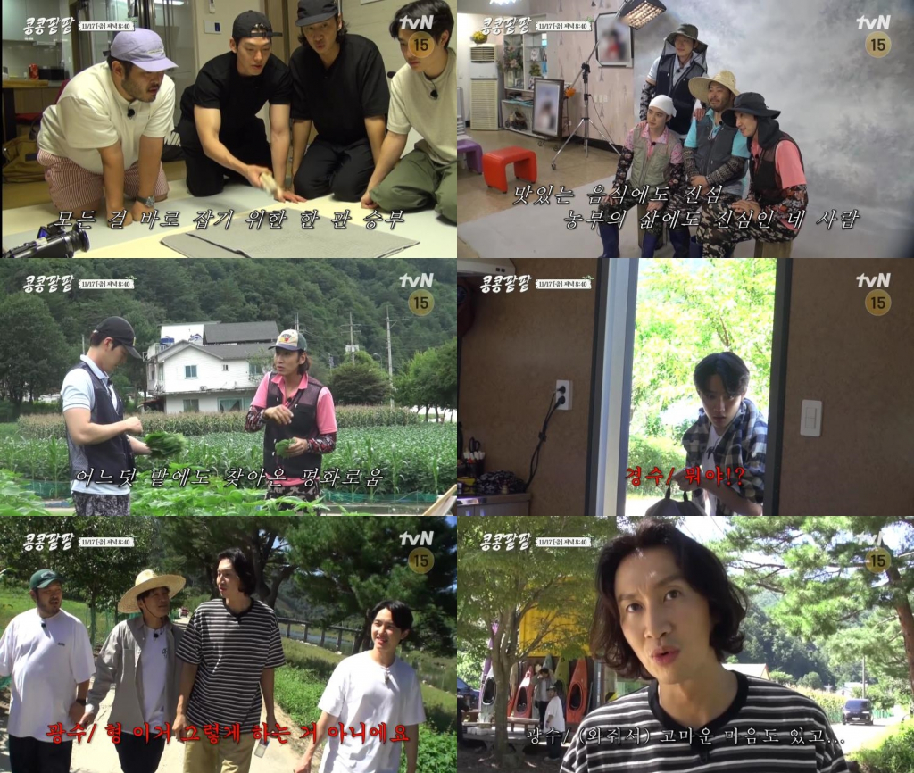 차태현 / 사진=tvN 콩 심은 데 콩 나고 팥 심은 데 팥 난다