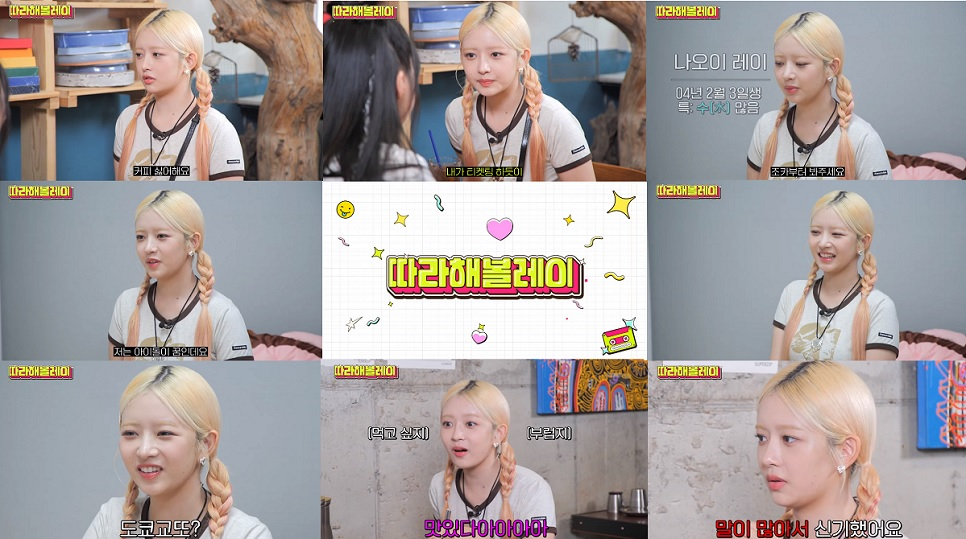/사진=유튜브 채널 '섭씨쉽도'
