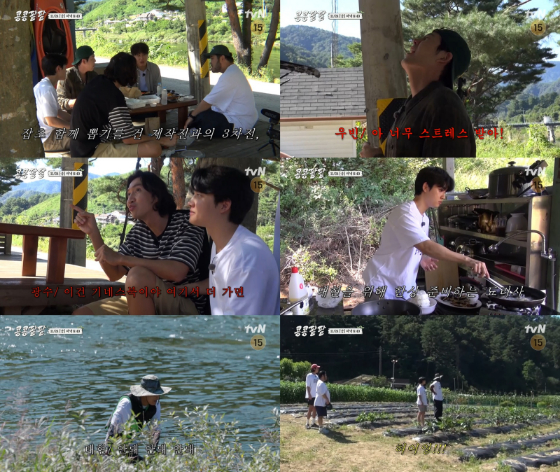 tvN '콩 심은 데 콩 나고 팥 심은 데 팥 난다'./사진제공=tvN
