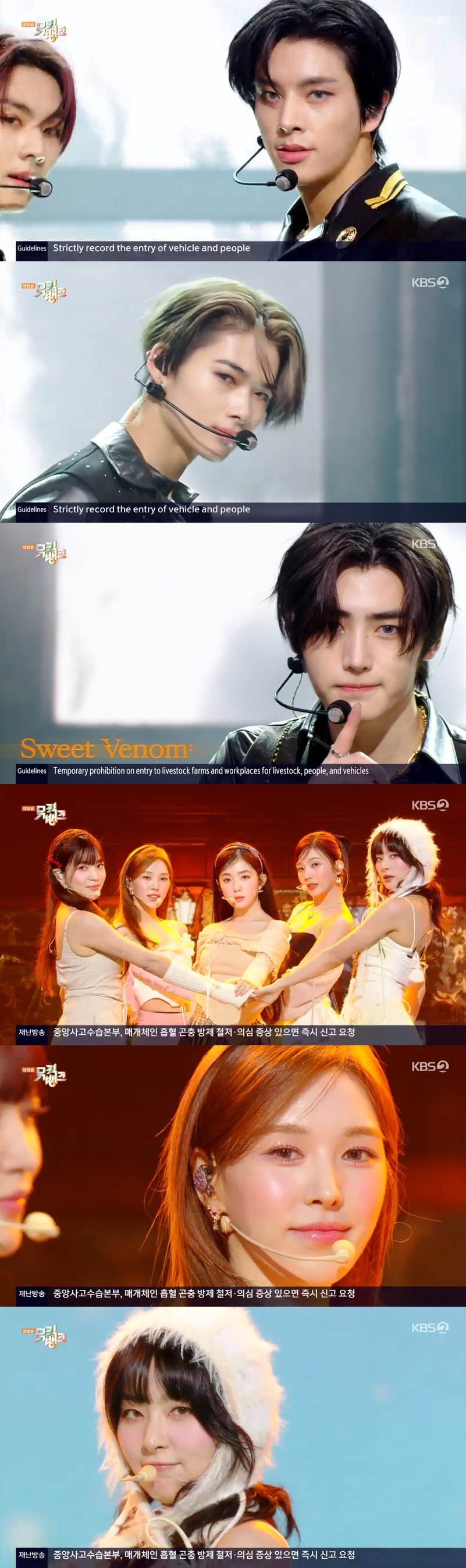 /사진=KBS 2TV '뮤직뱅크' 방송 캡처