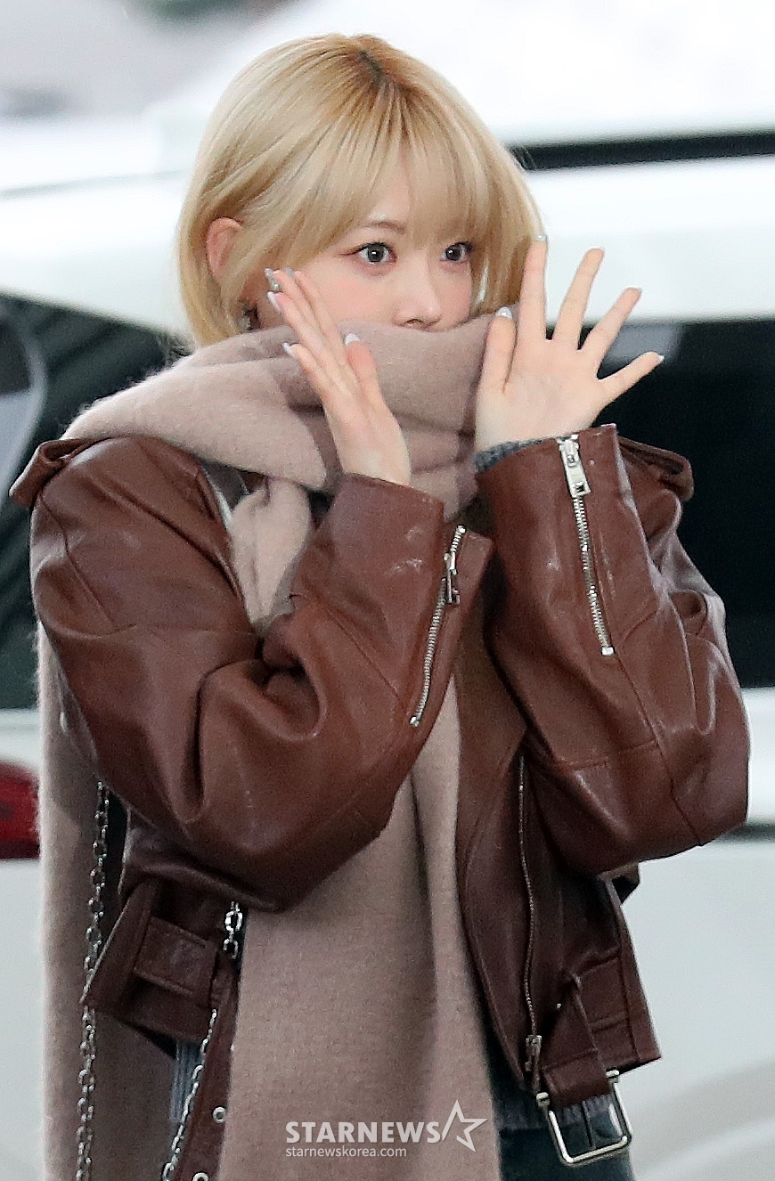 사진