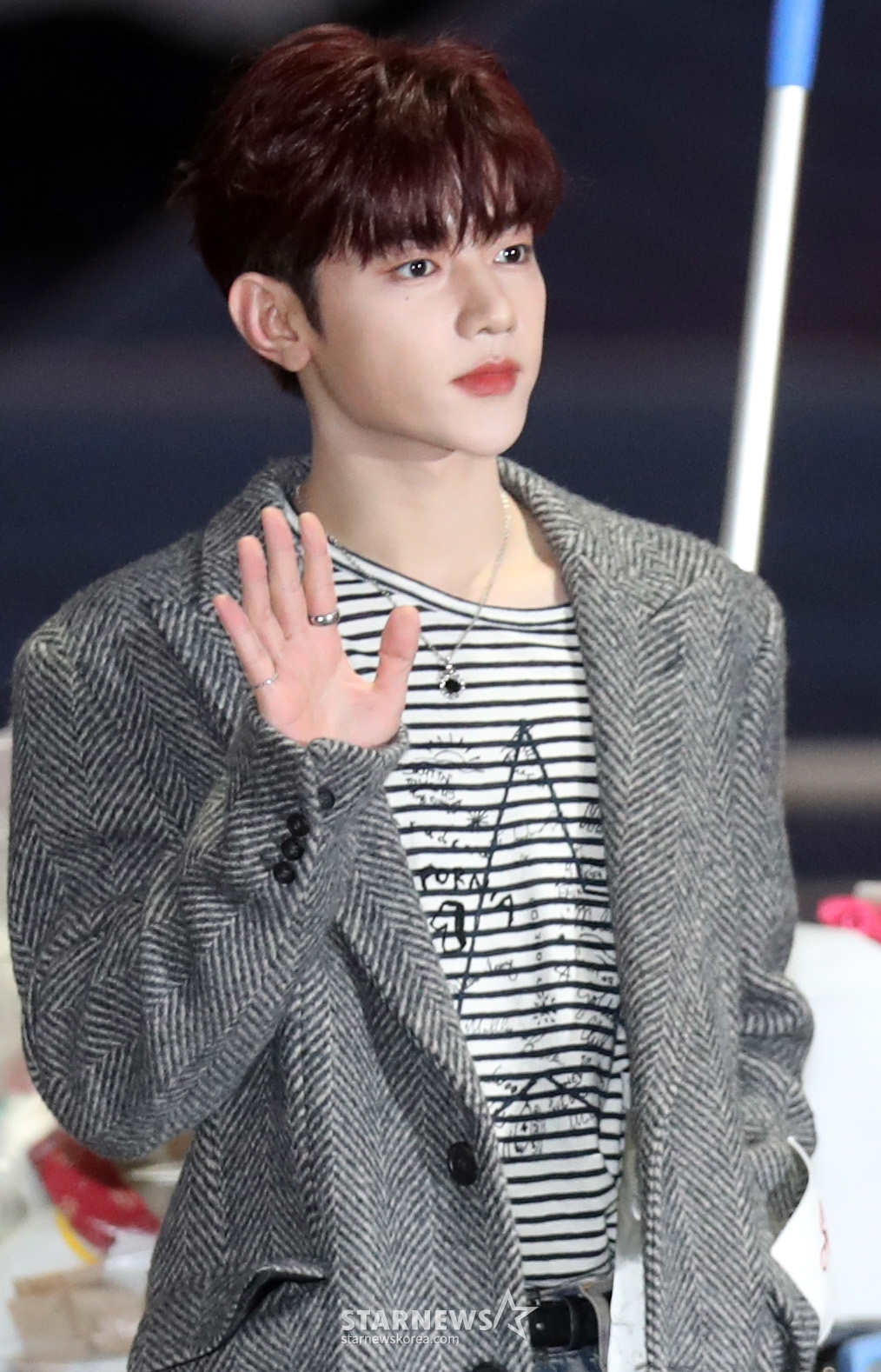 사진