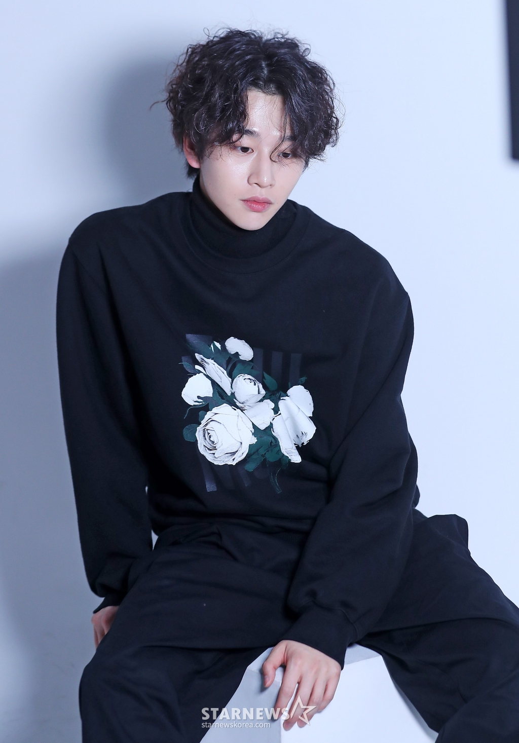 사진