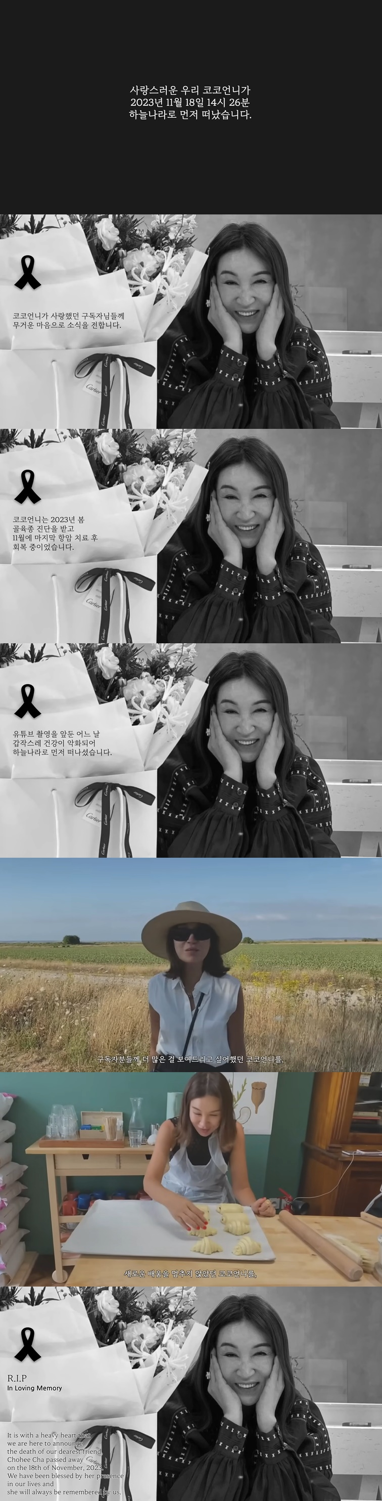 /사진=유튜브 채널 '코코초이' 영상 캡처