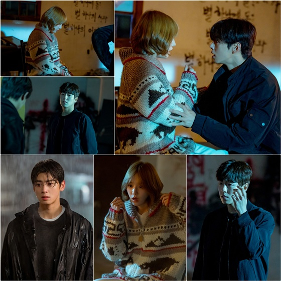 오늘도 사랑스럽개/사진=MBC