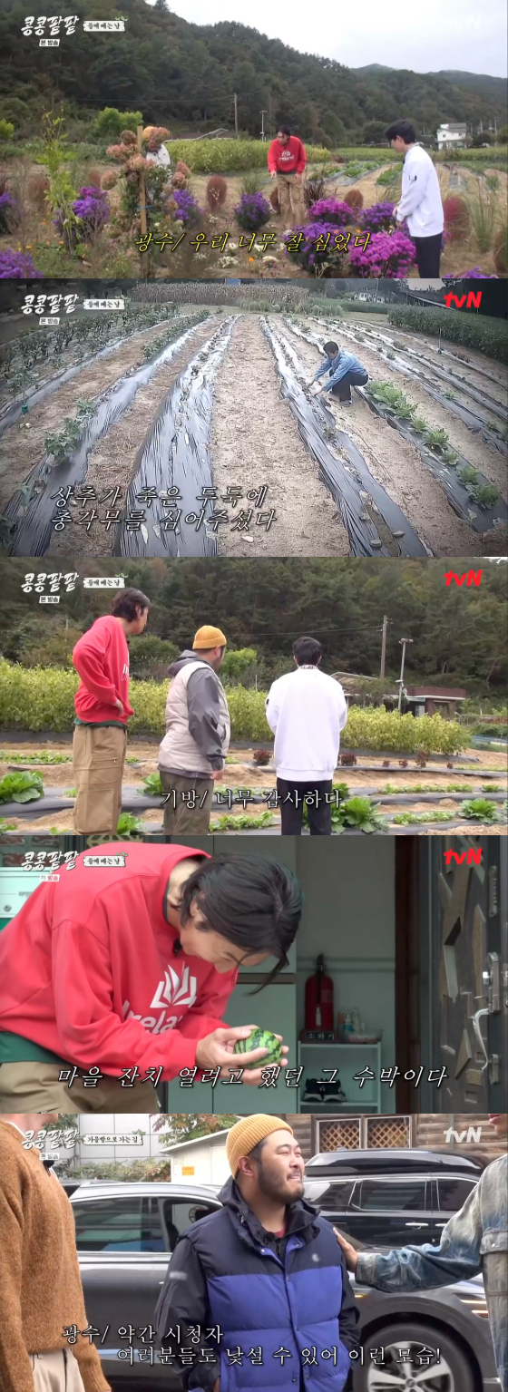 /사진=tvN '콩콩팥팥' 방송 화면 캡처
