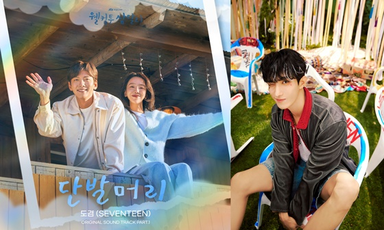 웰컴투 삼달리 OST, 세븐틴 도겸/사진=모스트콘텐츠, 플레디스엔터테인먼트