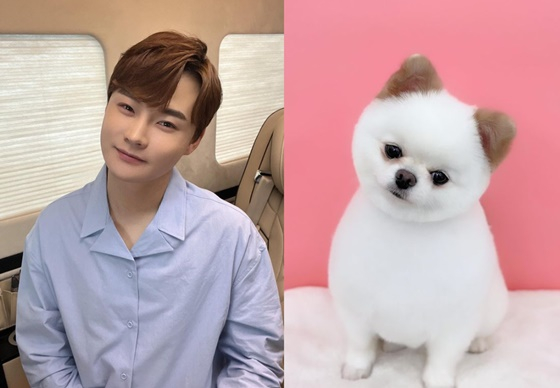 /사진=박서진