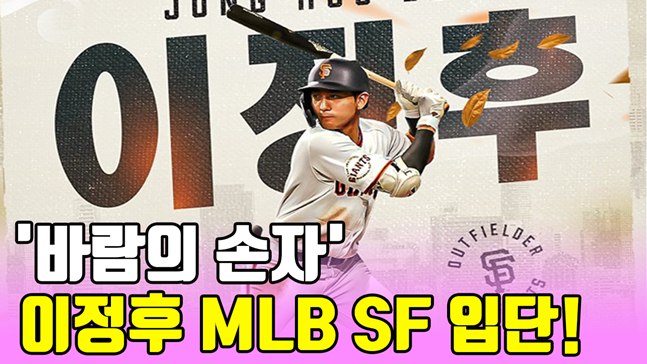 /그래픽=이원희 기자