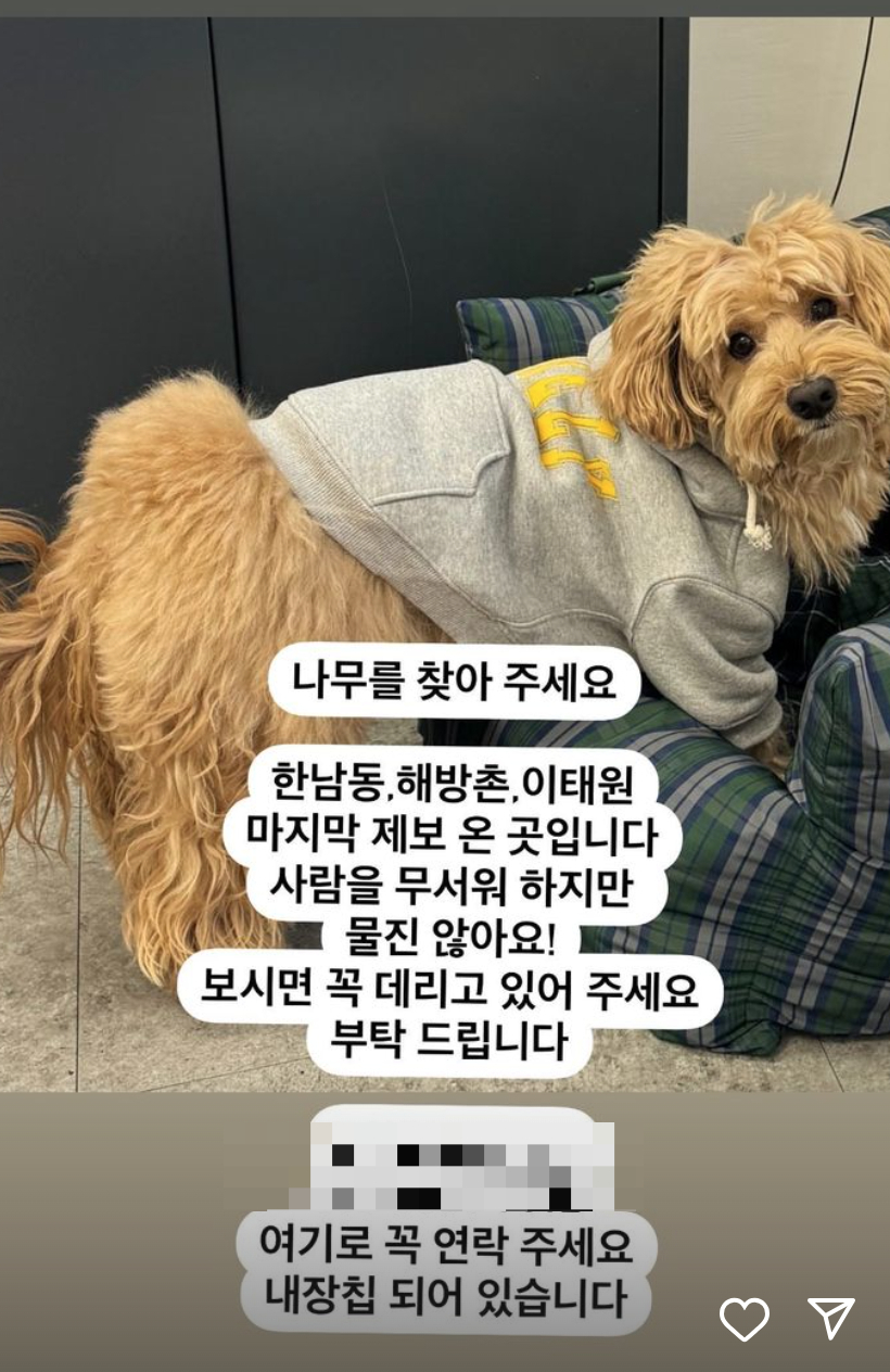 /사진=송혜교