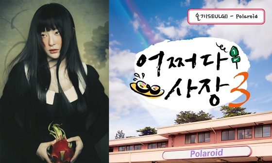 슬기 어쩌다 사장 OST /사진=SM엔터테인먼트, 캘빈연구소