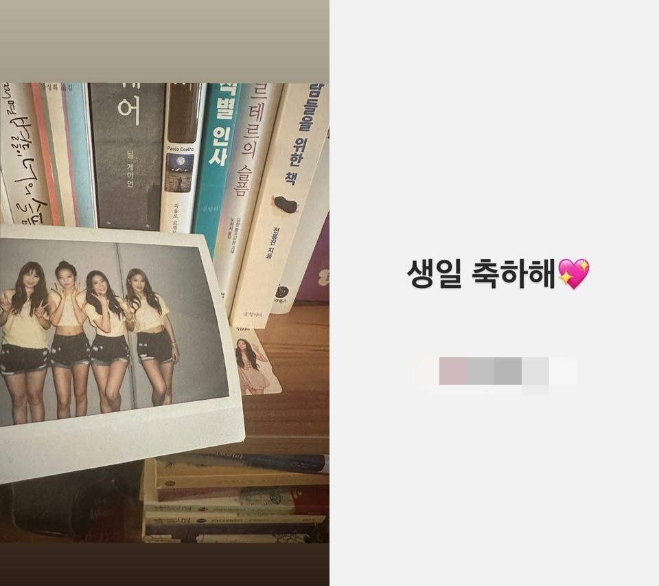 /사진=카라 한승연 SNS