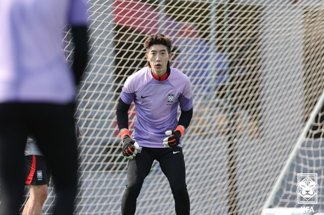조현우. /사진=대한축구협회 제공