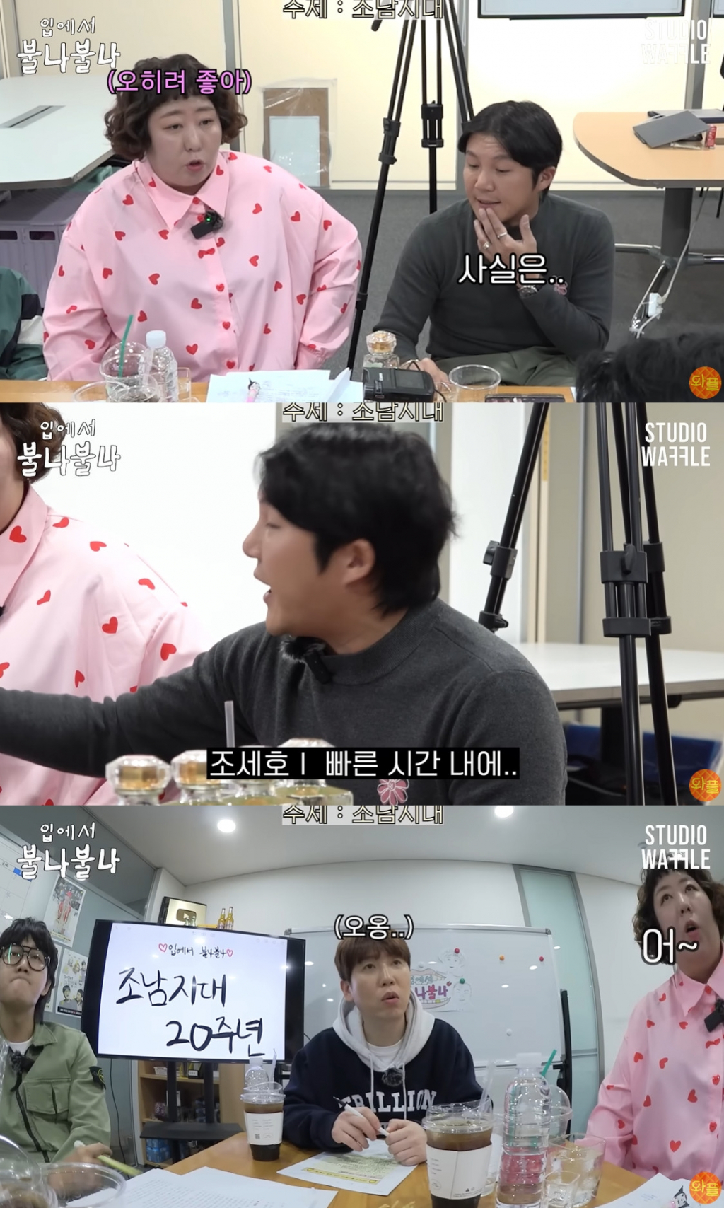 /사진=유튜브 채널 '스튜디오 와플' 영상 캡처