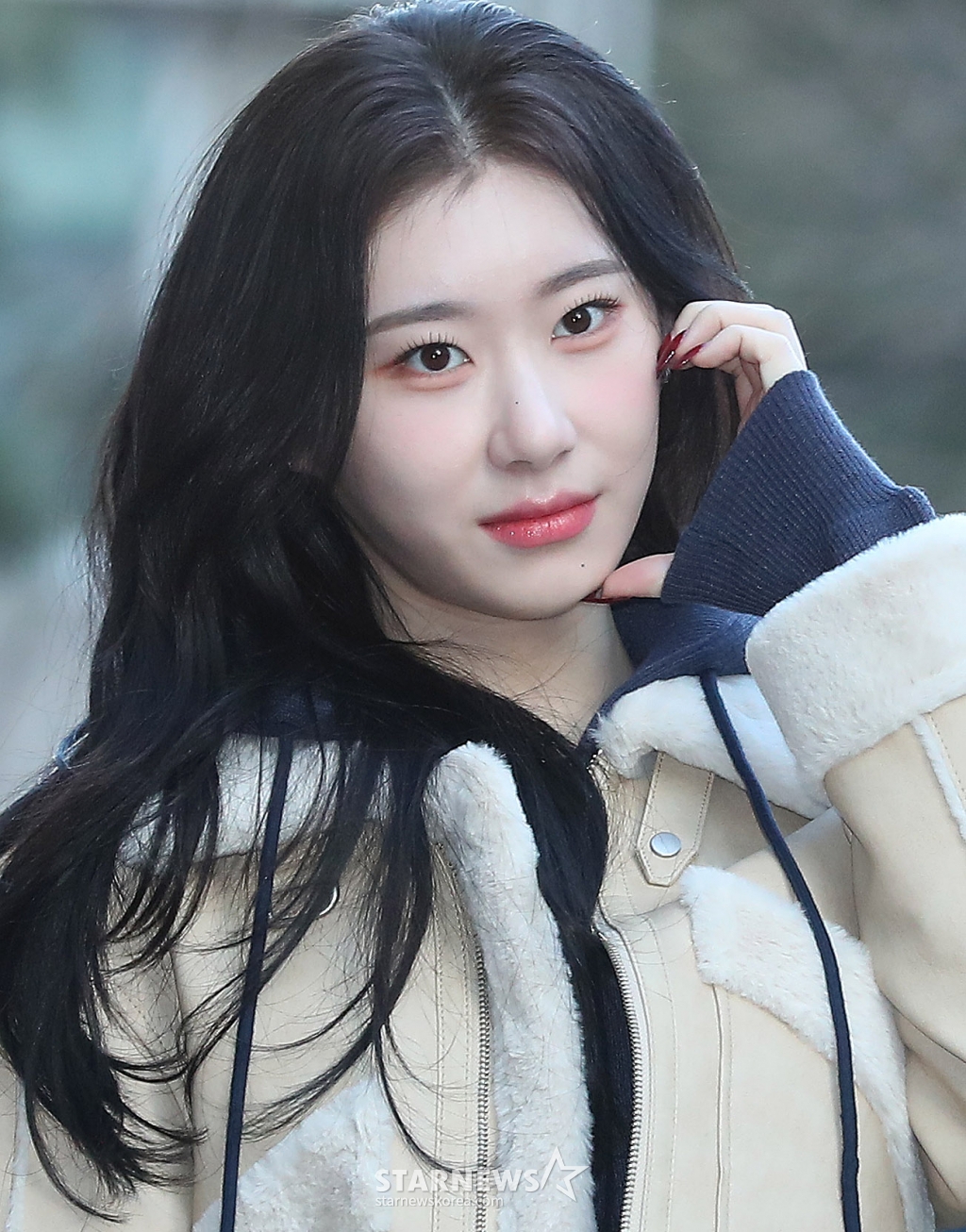 사진