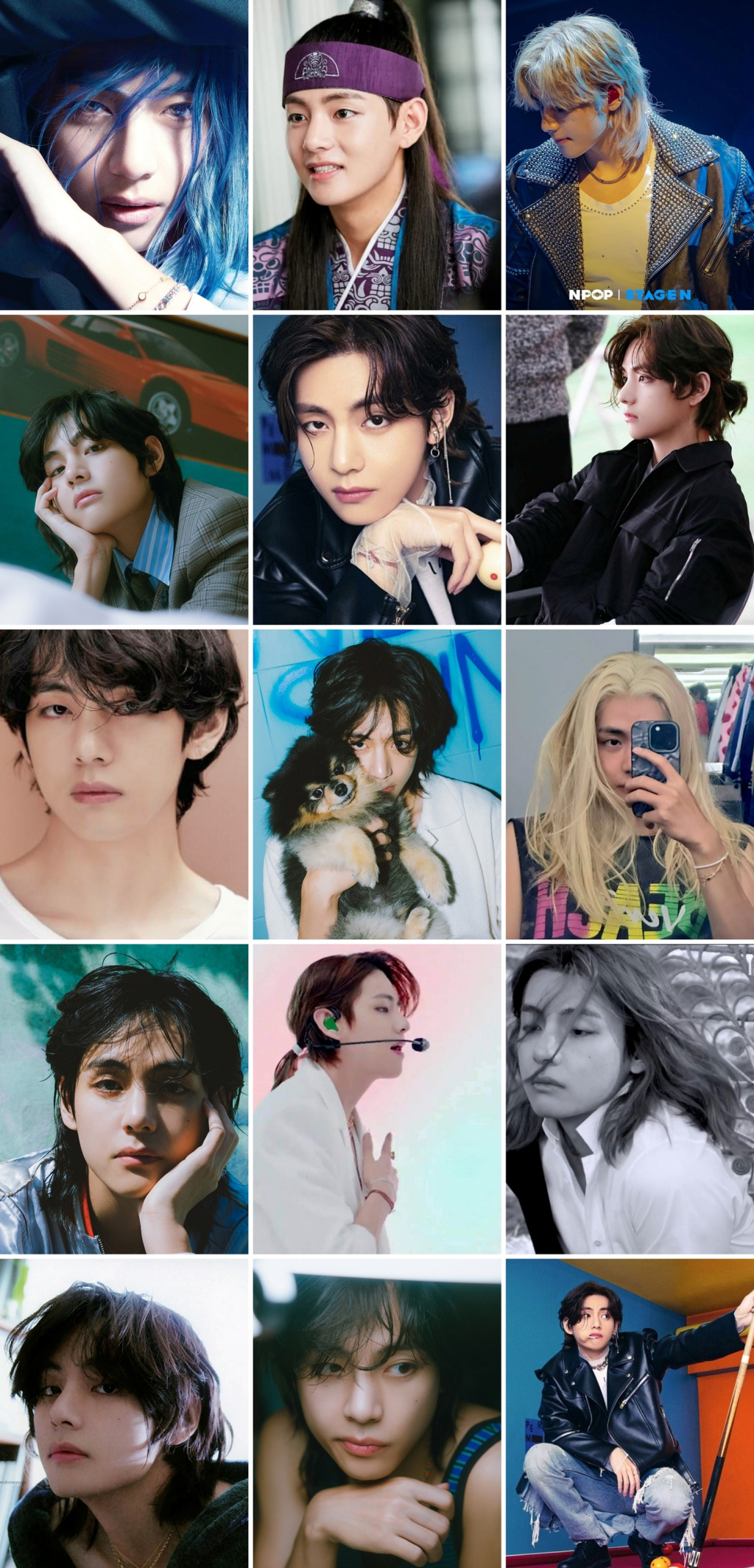 사진