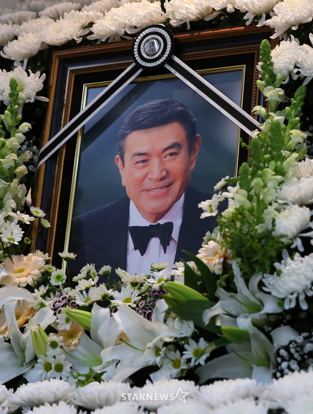 사진