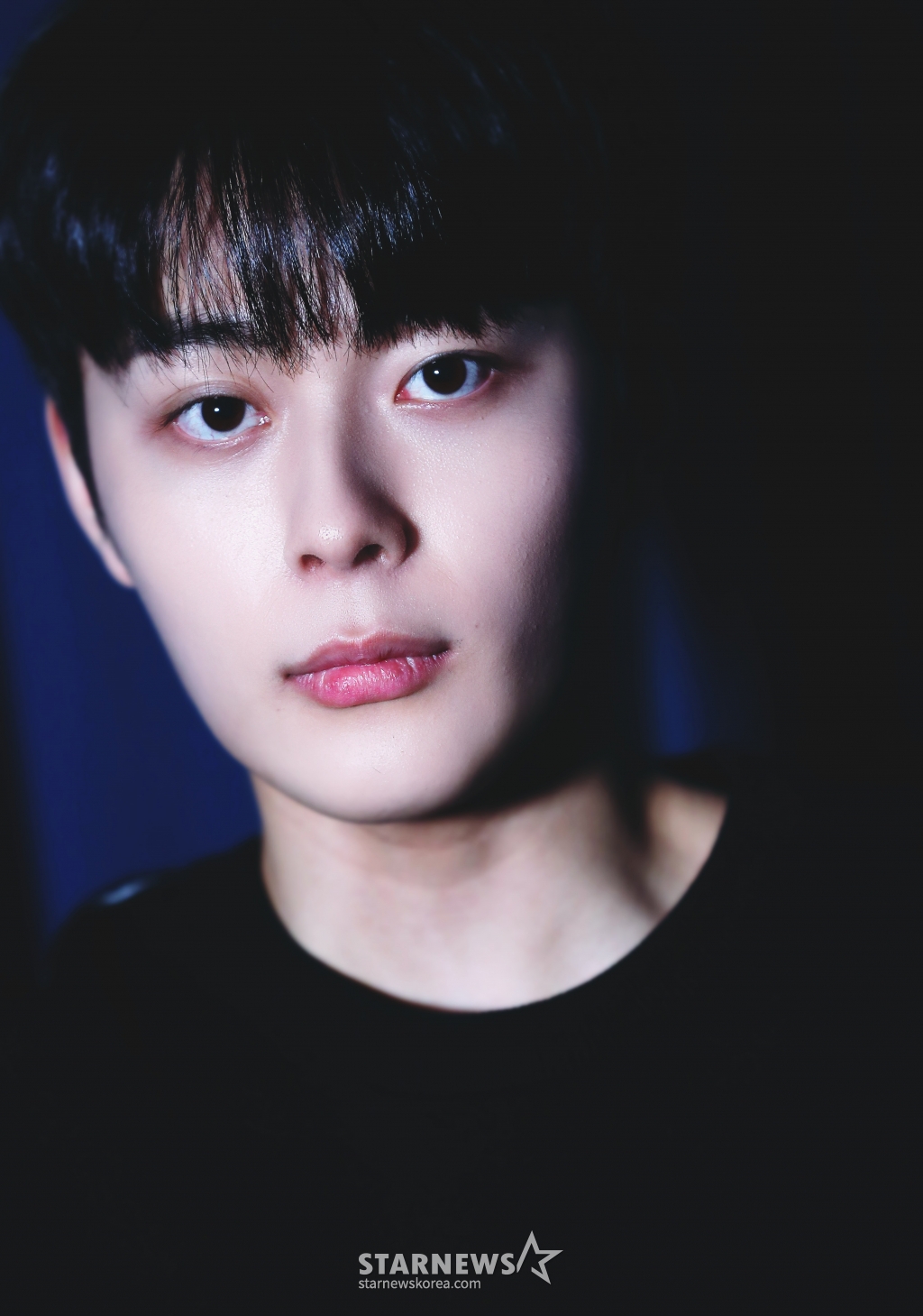 사진