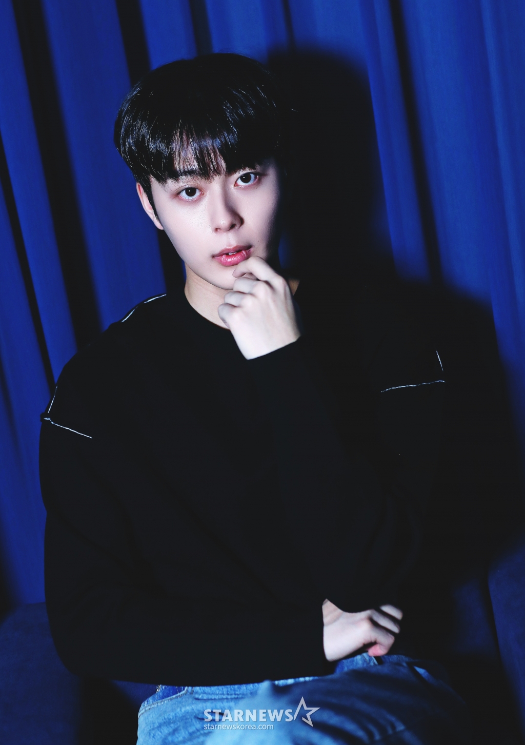 사진