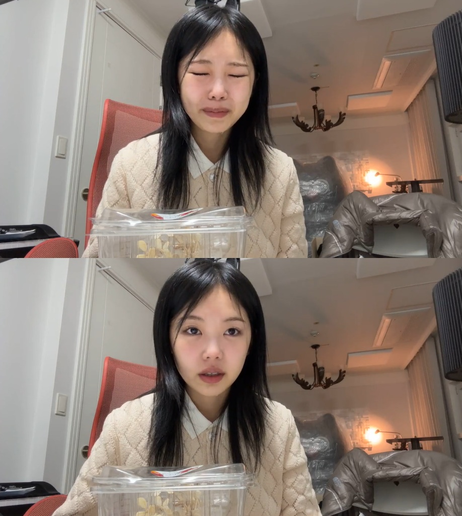 /사진=미노이