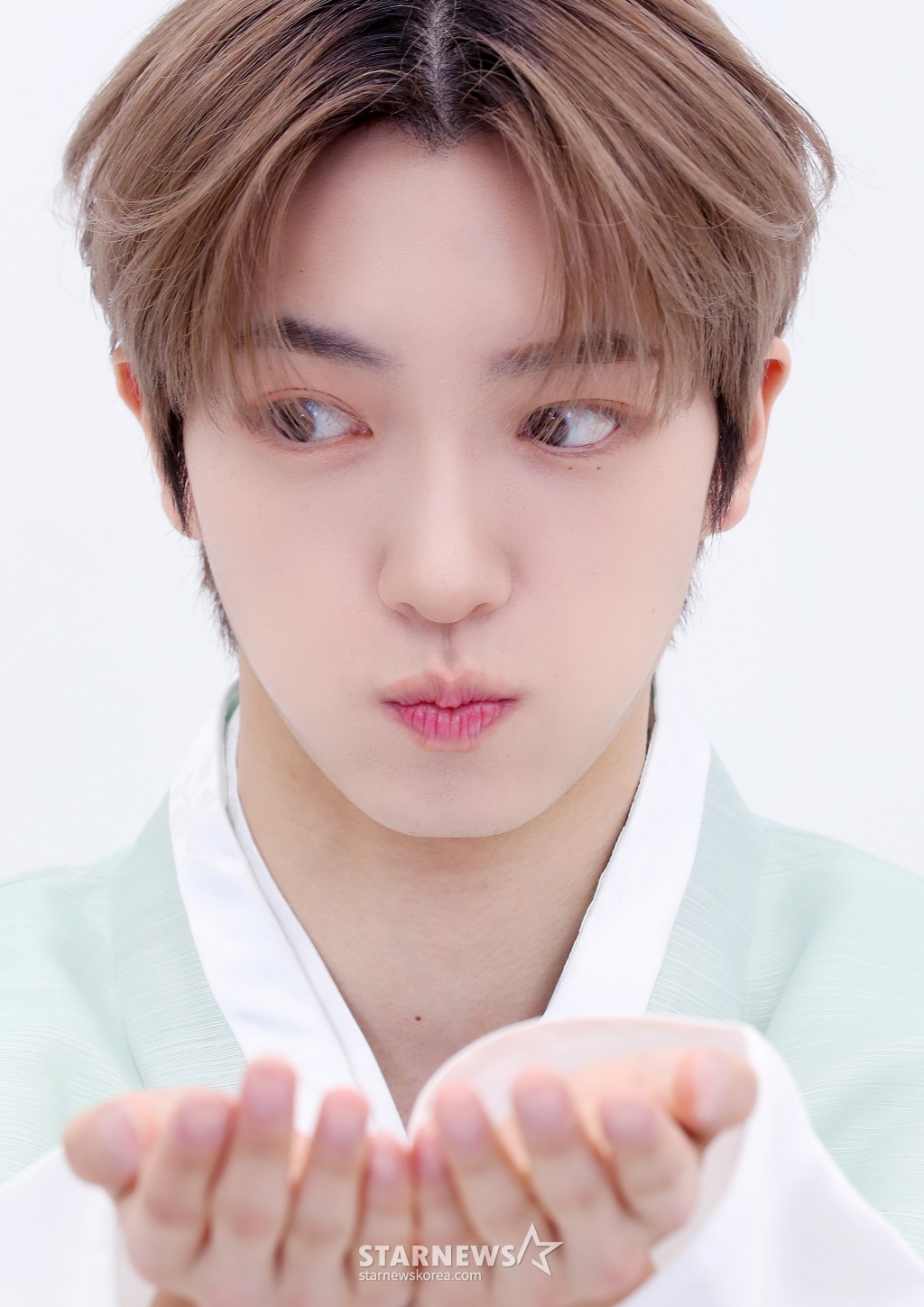 사진